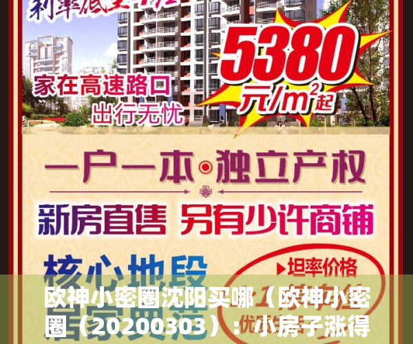 欧神小密圈沈阳买哪（欧神小密圈（20200303）：小房子涨得快，且安全。）