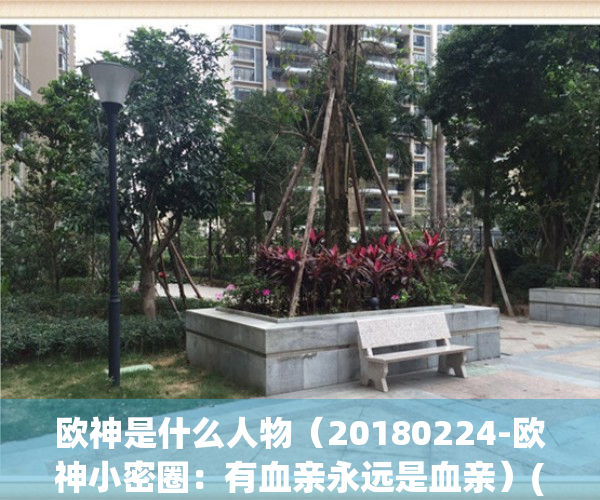 欧神是什么人物（20180224-欧神小密圈：有血亲永远是血亲）(欧神 百度百科)