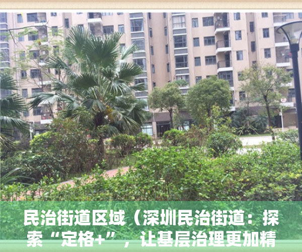 民治街道区域（深圳民治街道：探索“定格+”，让基层治理更加精准、更有温度）