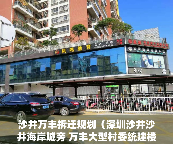 沙井万丰拆迁规划（深圳沙井沙井海岸城旁 万丰大型村委统建楼（中心国际）6栋花园小区）