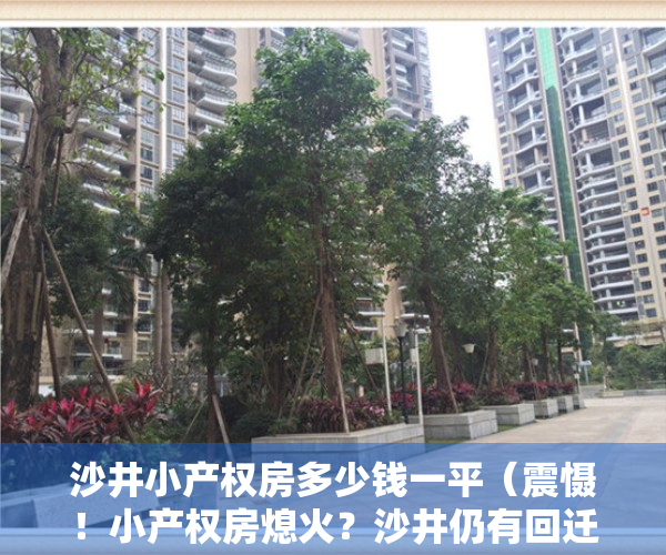 沙井小产权房多少钱一平（震慑！小产权房熄火？沙井仍有回迁指标房兜售，价格比新房贵！）