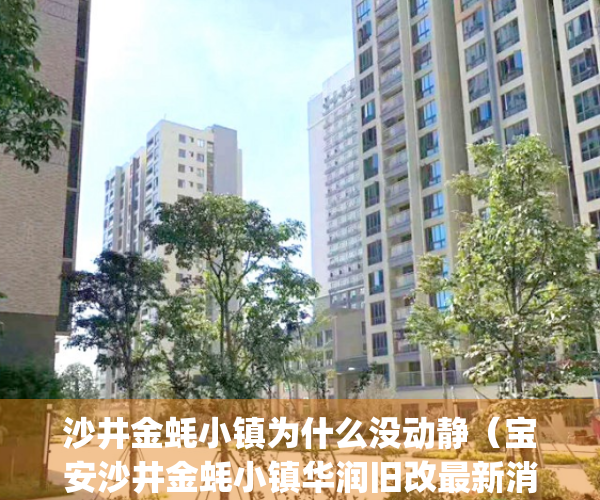 沙井金蚝小镇为什么没动静（宝安沙井金蚝小镇华润旧改最新消息）(深圳沙井金蚝小镇旧改更新)