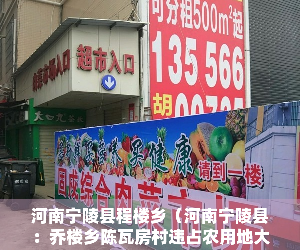 河南宁陵县程楼乡（河南宁陵县：乔楼乡陈瓦房村违占农用地大肆建“小产权房”）