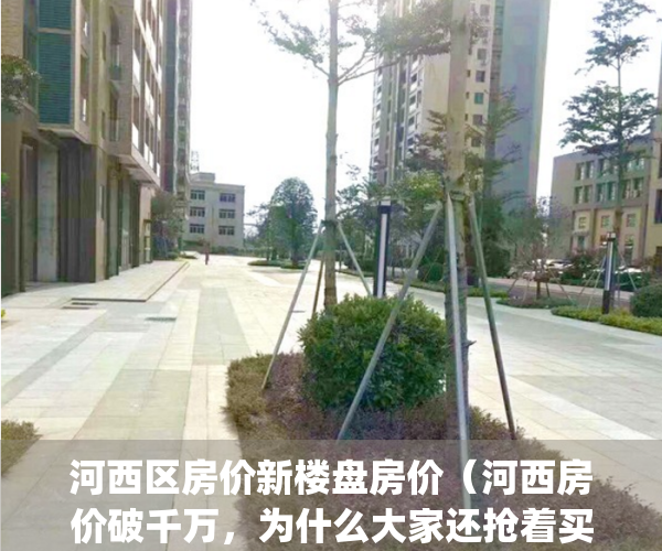 河西区房价新楼盘房价（河西房价破千万，为什么大家还抢着买）(河西区各小区房价)