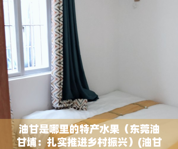油甘是哪里的特产水果（东莞油甘埔：扎实推进乡村振兴）(油甘长在哪里)