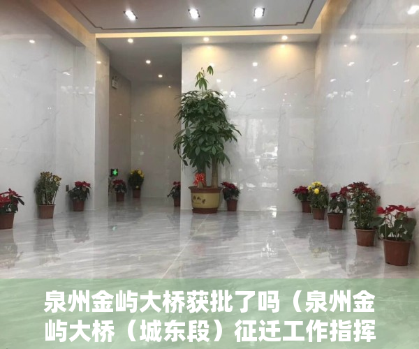 泉州金屿大桥获批了吗（泉州金屿大桥（城东段）征迁工作指挥部揭牌成立）