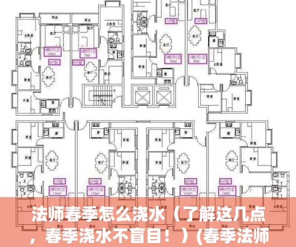 法师春季怎么浇水（了解这几点，春季浇水不盲目！）(春季法师多久浇一次水)