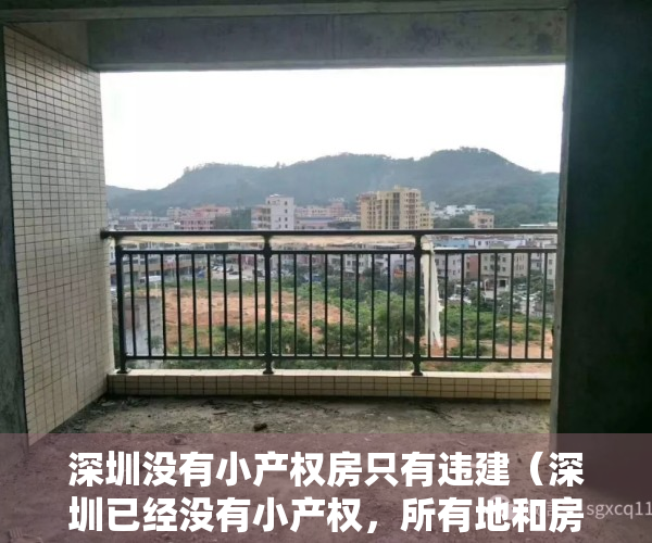 深圳没有小产权房只有违建（深圳已经没有小产权，所有地和房的性质都已发生了改变！）