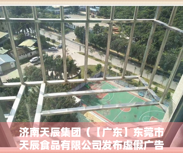 济南天辰集团（【广东】东莞市天辰食品有限公司发布虚假广告销售食品“小象散步马铃薯棒棒形饼干”被罚款1200元）