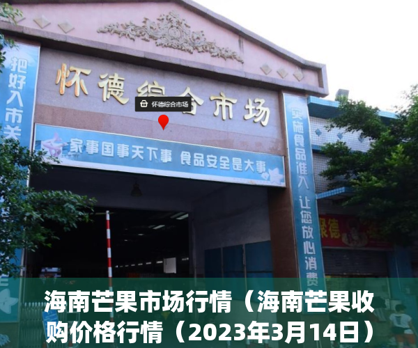 海南芒果市场行情（海南芒果收购价格行情（2023年3月14日））(海南芒果批发价格行情)