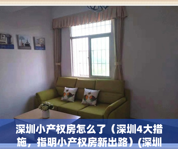 深圳小产权房怎么了（深圳4大措施，指明小产权房新出路）(深圳小产权房最新政策2021两会)