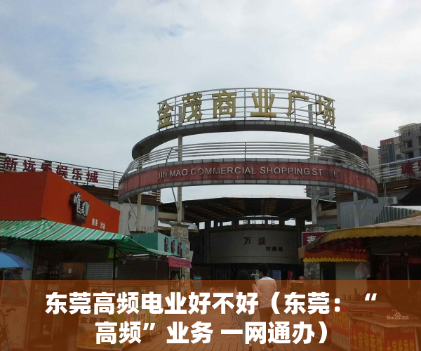 东莞高频电业好不好（东莞：“高频”业务 一网通办）