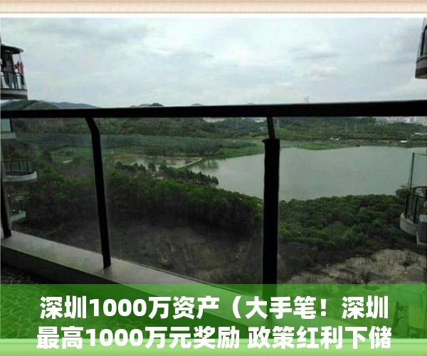深圳1000万资产（大手笔！深圳最高1000万元奖励 政策红利下储能火热能否持续？）