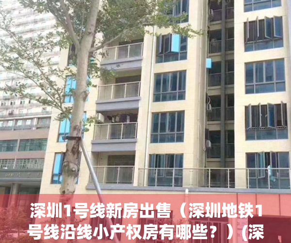 深圳1号线新房出售（深圳地铁1号线沿线小产权房有哪些？）(深圳地铁1号线1期)