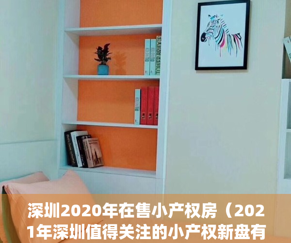 深圳2020年在售小产权房（2021年深圳值得关注的小产权新盘有哪些？）(深圳市小产权房价)