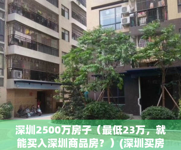 深圳2500万房子（最低23万，就能买入深圳商品房？）(深圳买房得多少钱)