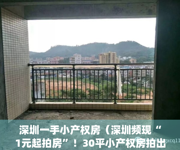 深圳一手小产权房（深圳频现“1元起拍房”！30平小产权房拍出789万）(深圳整栋小产权房出售)