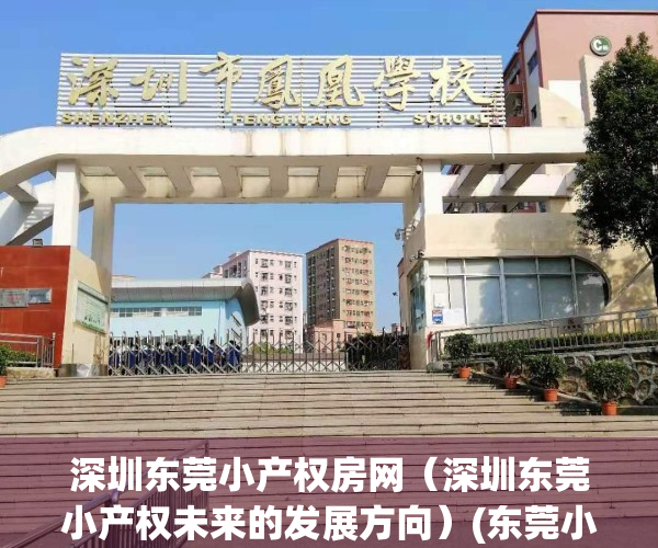 深圳东莞小产权房网（深圳东莞小产权未来的发展方向）(东莞小产权房最新政策2020阳光网)