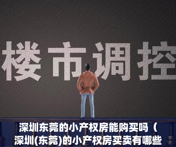 深圳东莞的小产权房能购买吗（深圳(东莞)的小产权房买卖有哪些风险存在）