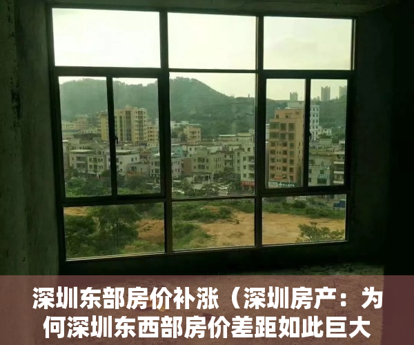 深圳东部房价补涨（深圳房产：为何深圳东西部房价差距如此巨大？业内人来告诉你）