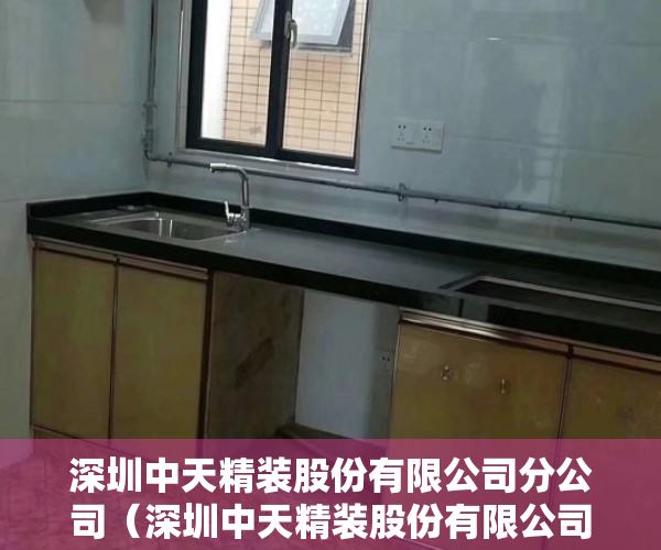深圳中天精装股份有限公司分公司（深圳中天精装股份有限公司独立董事 关于第三届董事会 第十八次会议相关事项的独立意见）