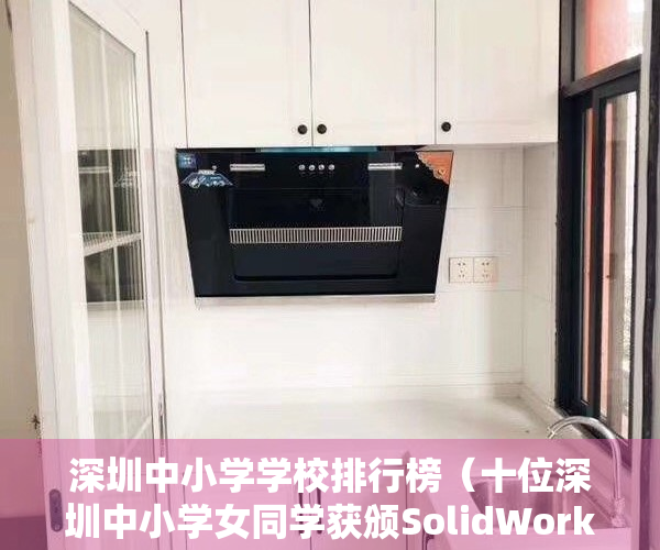 深圳中小学学校排行榜（十位深圳中小学女同学获颁SolidWork全球助理工程师证书）