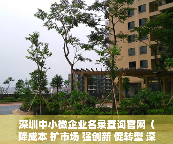 深圳中小微企业名录查询官网（降成本 扩市场 强创新 促转型 深圳8部门联合推出中小微企业纾困政策）