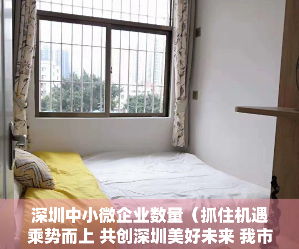 深圳中小微企业数量（抓住机遇乘势而上 共创深圳美好未来 我市中小微企业个体工商户及行业协会座谈会让深圳企业家们倍感振奋充满信心）