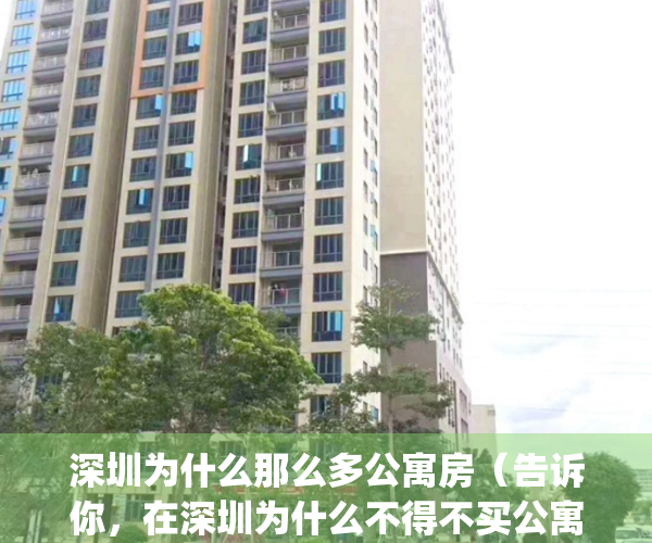 深圳为什么那么多公寓房（告诉你，在深圳为什么不得不买公寓）(为什么深圳公寓那么贵)