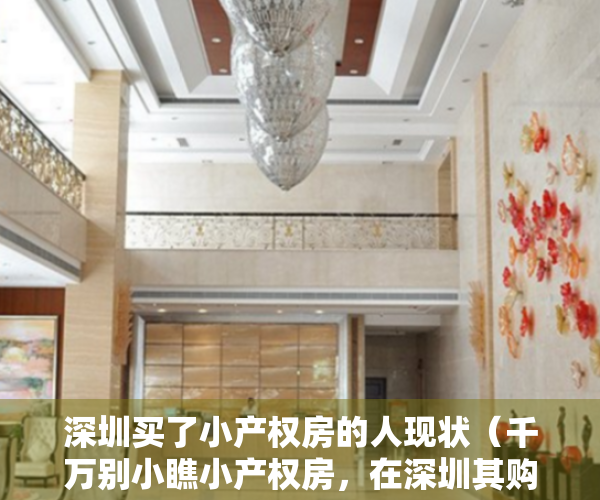 深圳买了小产权房的人现状（千万别小瞧小产权房，在深圳其购买难度一点不亚于买商品房）