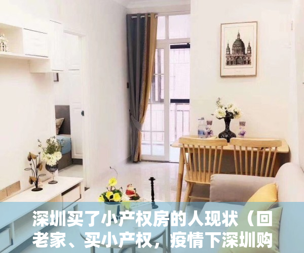 深圳买了小产权房的人现状（回老家、买小产权，疫情下深圳购房者的挣扎和求生）