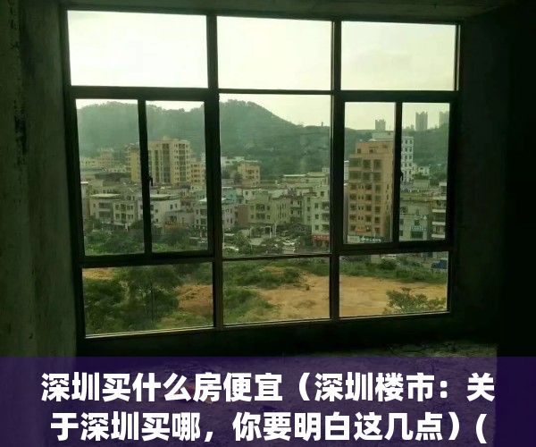 深圳买什么房便宜（深圳楼市：关于深圳买哪，你要明白这几点）(深圳房子买哪里)