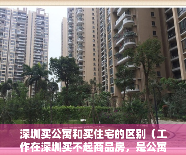 深圳买公寓和买住宅的区别（工作在深圳买不起商品房，是公寓好还是小产权好？）