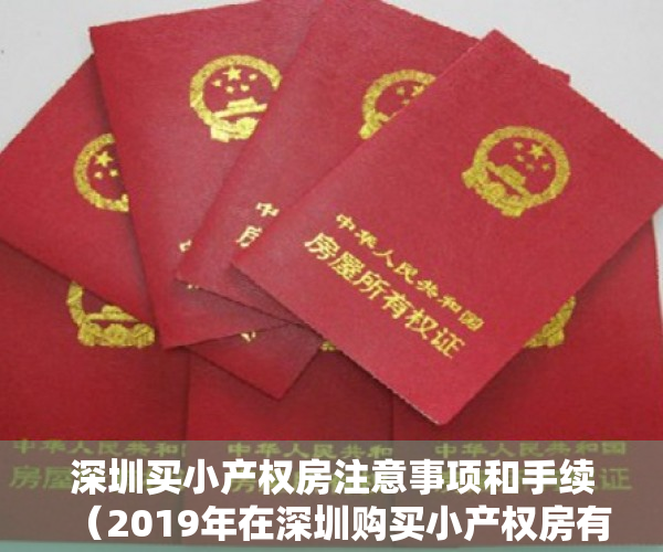 深圳买小产权房注意事项和手续（2019年在深圳购买小产权房有哪些最新政策内容？）