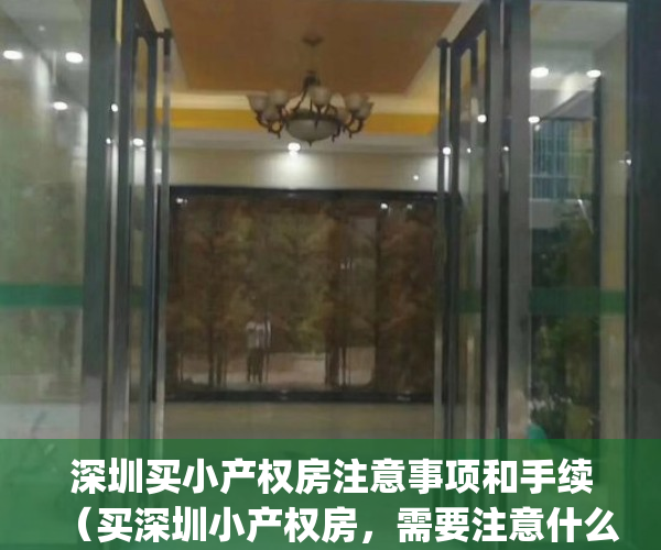 深圳买小产权房注意事项和手续（买深圳小产权房，需要注意什么）(在深圳购买小产权房注意什么)