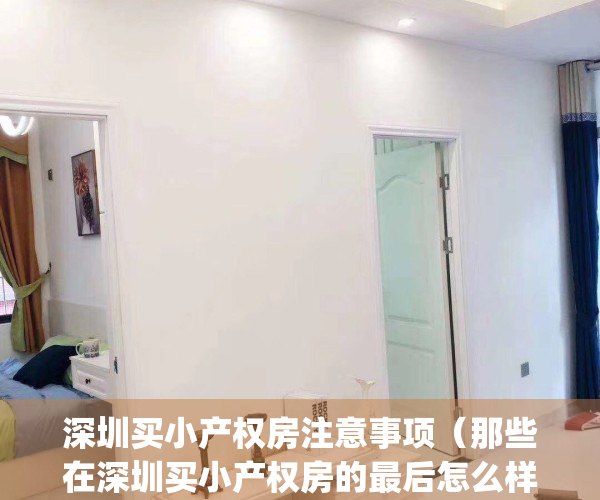 深圳买小产权房注意事项（那些在深圳买小产权房的最后怎么样了？）(在深圳买小产权房有哪些风险)