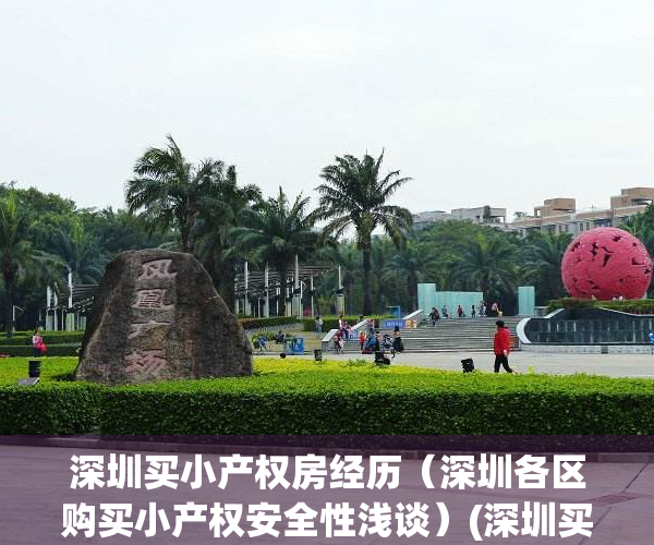 深圳买小产权房经历（深圳各区购买小产权安全性浅谈）(深圳买小产权房出售2021)