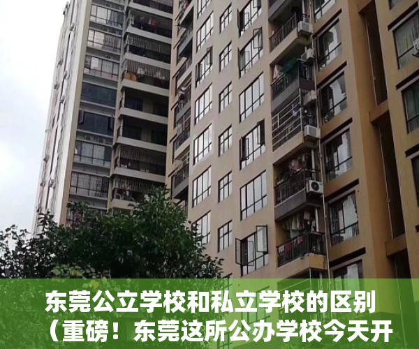东莞公立学校和私立学校的区别（重磅！东莞这所公办学校今天开建！可提供5580个学位！）