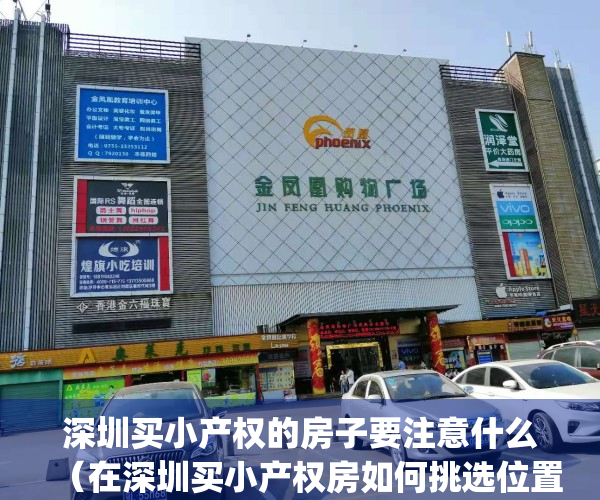 深圳买小产权的房子要注意什么（在深圳买小产权房如何挑选位置）(深圳买小产权房安全吗)