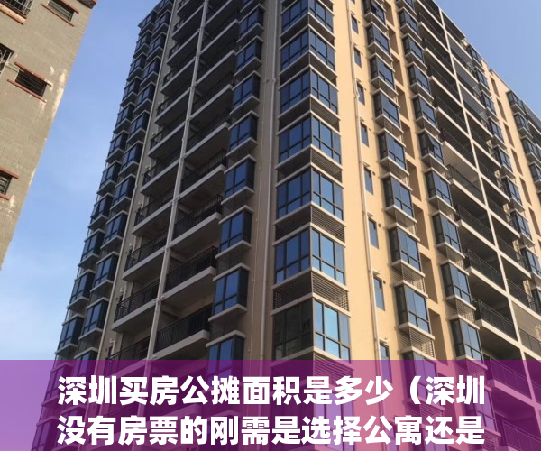 深圳买房公摊面积是多少（深圳没有房票的刚需是选择公寓还是住宅）(深圳房子没有公摊吗)
