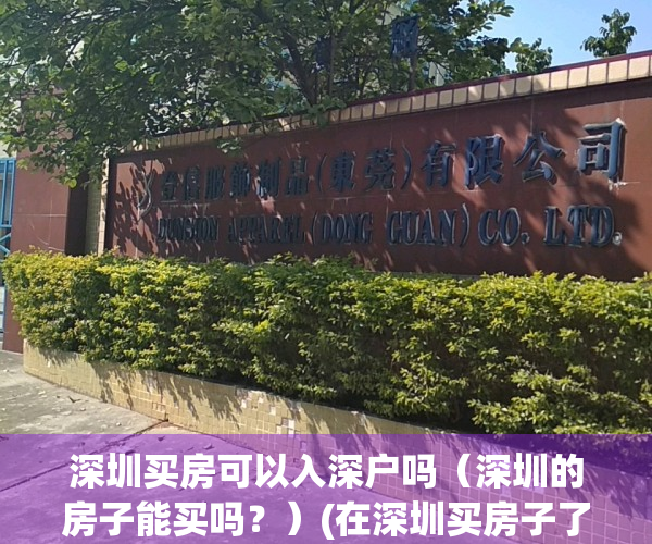深圳买房可以入深户吗（深圳的房子能买吗？）(在深圳买房子了可以入户深圳吗)
