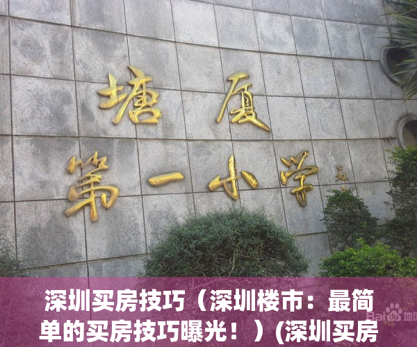 深圳买房技巧（深圳楼市：最简单的买房技巧曝光！）(深圳买房注意事项 知乎)