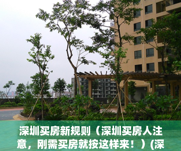 深圳买房新规则（深圳买房人注意，刚需买房就按这样来！）(深圳买房新政解读)