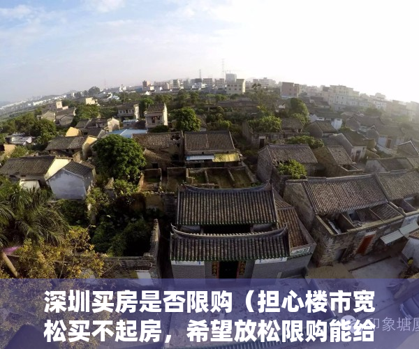 深圳买房是否限购（担心楼市宽松买不起房，希望放松限购能给孩子买房，深圳楼市政策松还是不松？）