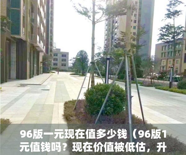 96版一元现在值多少钱（96版1元值钱吗？现在价值被低估，升值空间不能小看）