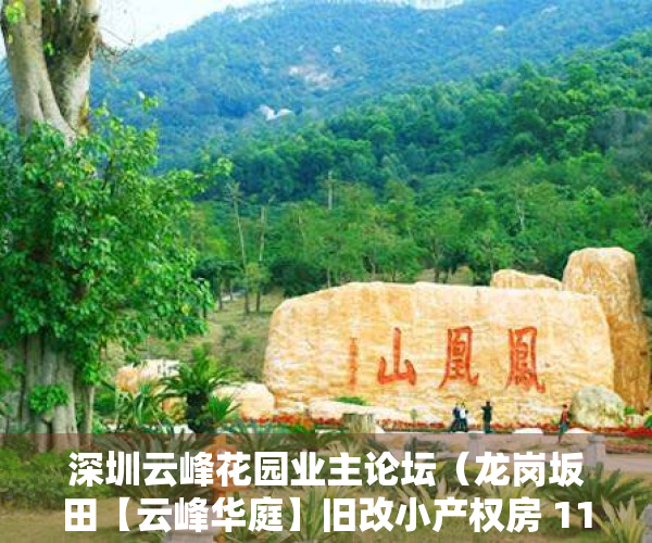 深圳云峰花园业主论坛（龙岗坂田【云峰华庭】旧改小产权房 111赔偿商品房 投资首选！）