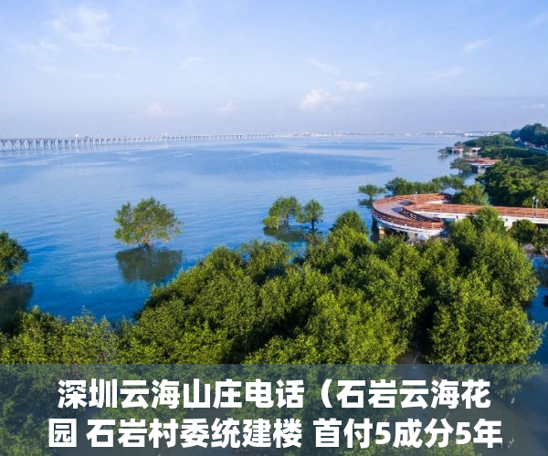 深圳云海山庄电话（石岩云海花园 石岩村委统建楼 首付5成分5年）