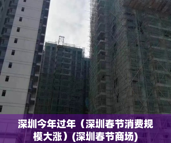深圳今年过年（深圳春节消费规模大涨）(深圳春节商场)