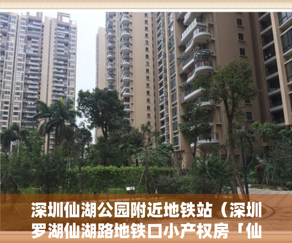 深圳仙湖公园附近地铁站（深圳罗湖仙湖路地铁口小产权房「仙湖雅居」地铁口200米，商业金融中心区，永久产权总价536万 湖外国语学校鹏兴实验学校莲塘小学）