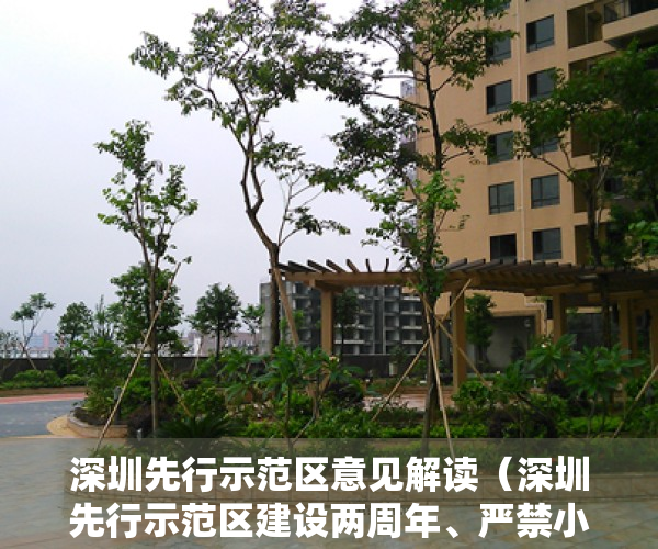 深圳先行示范区意见解读（深圳先行示范区建设两周年、严禁小产权房交易）